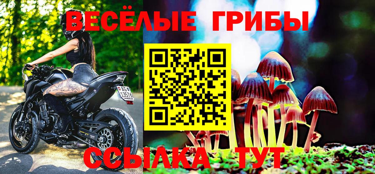 Джанкой  Псилоцибиновые грибы мухоморы  Вход с VPN 